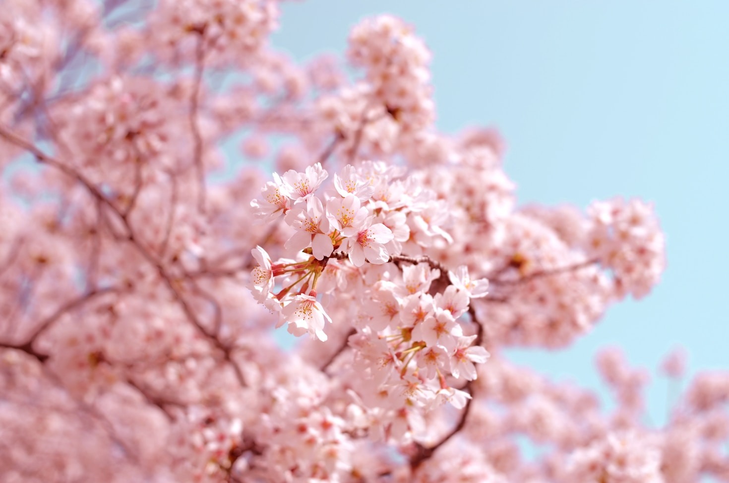 Seasonal Guides for Year Round Color